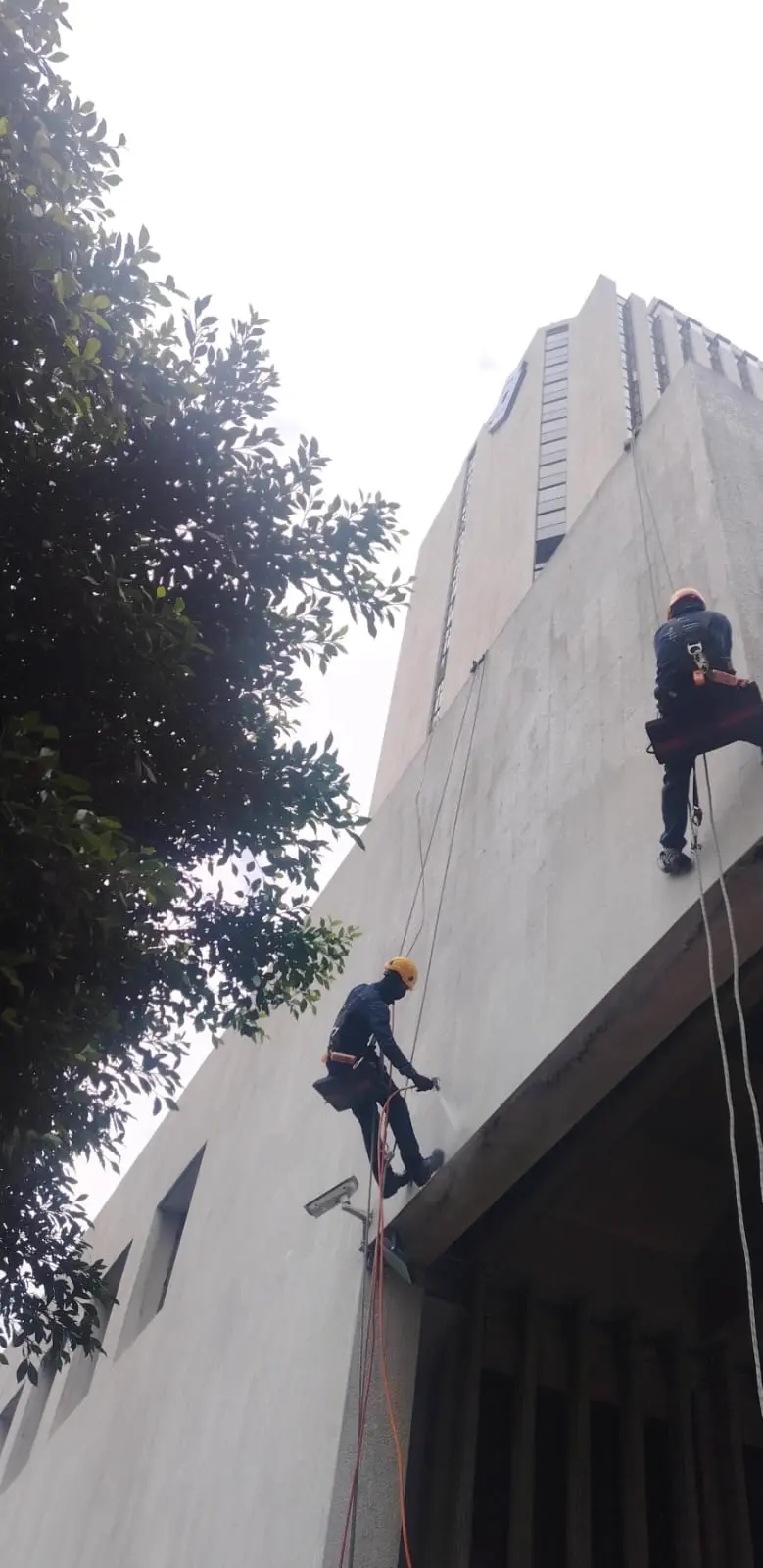 Banco de Occidente - Detalle de proceso 91